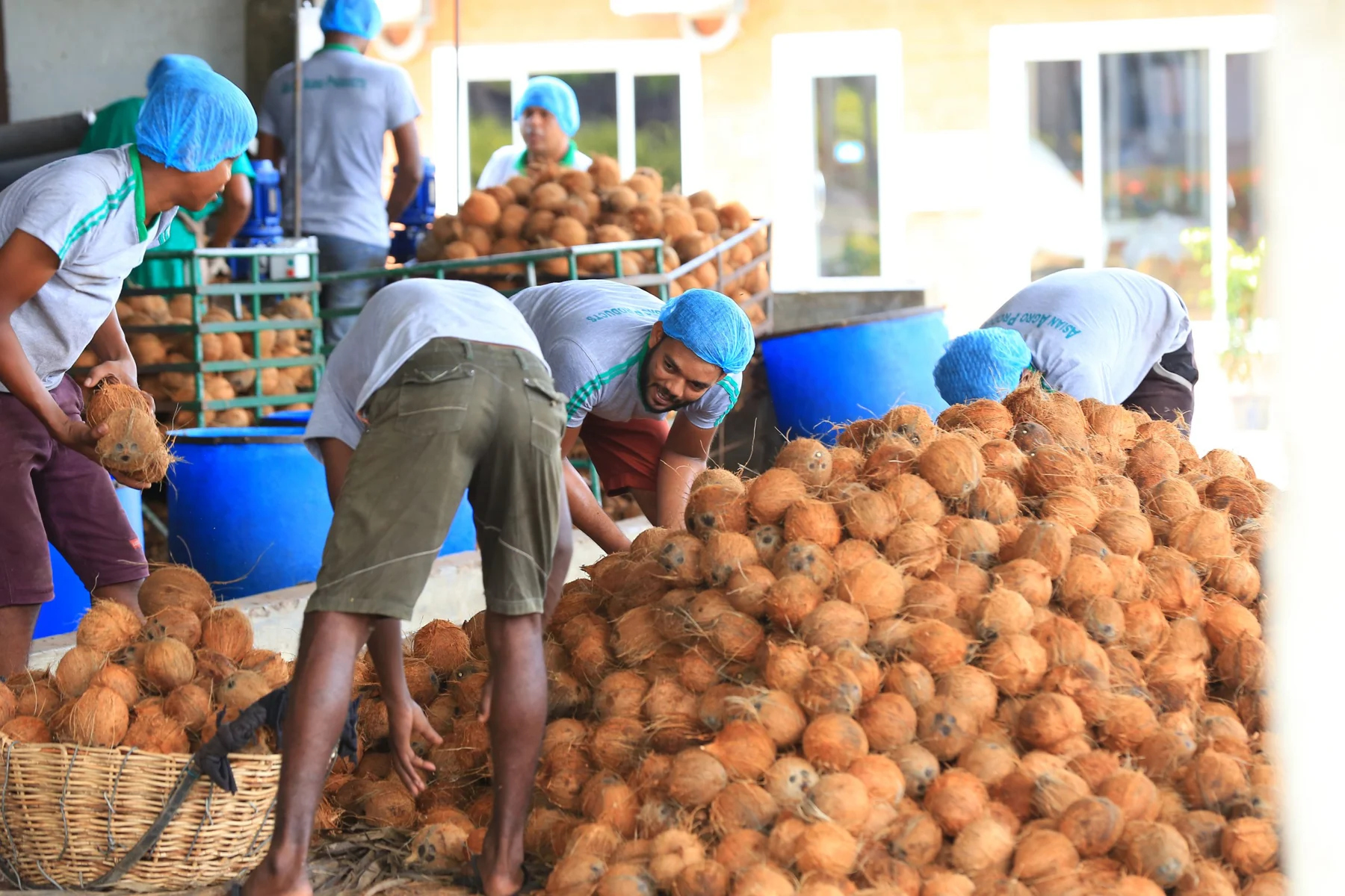 Team members sorting coconuts at the Nutrikokos factory