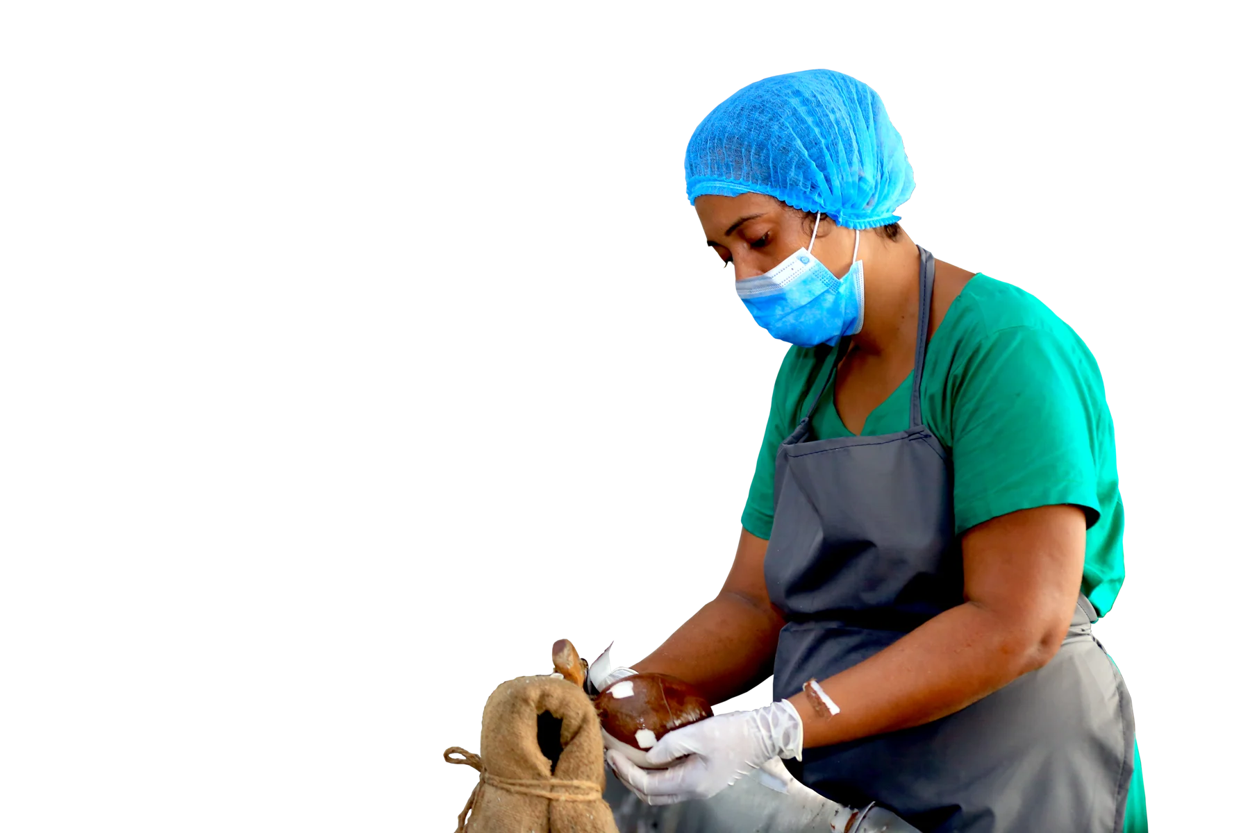 Nutrikokos employee handling coconuts at the factory