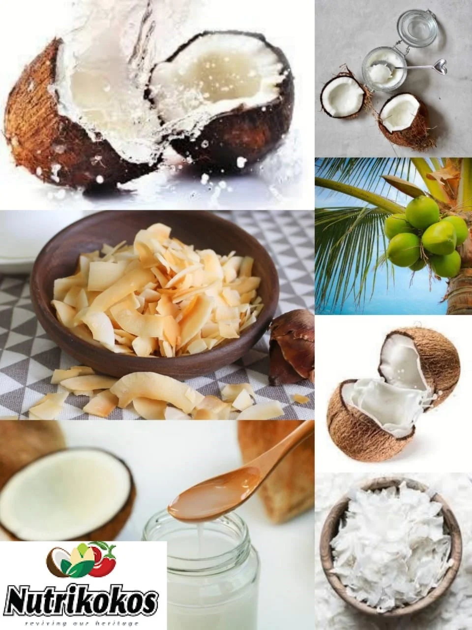 Celebrating the International Day of Coconut