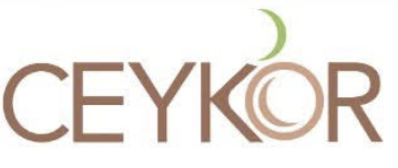 CEYKOR logo