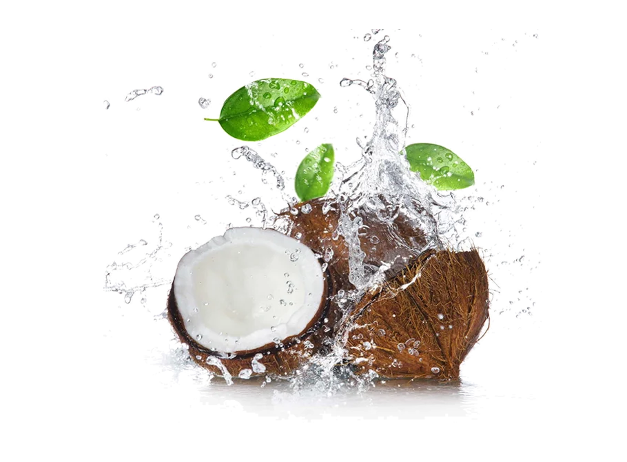 Fresh coconut halves with water splashing around them
